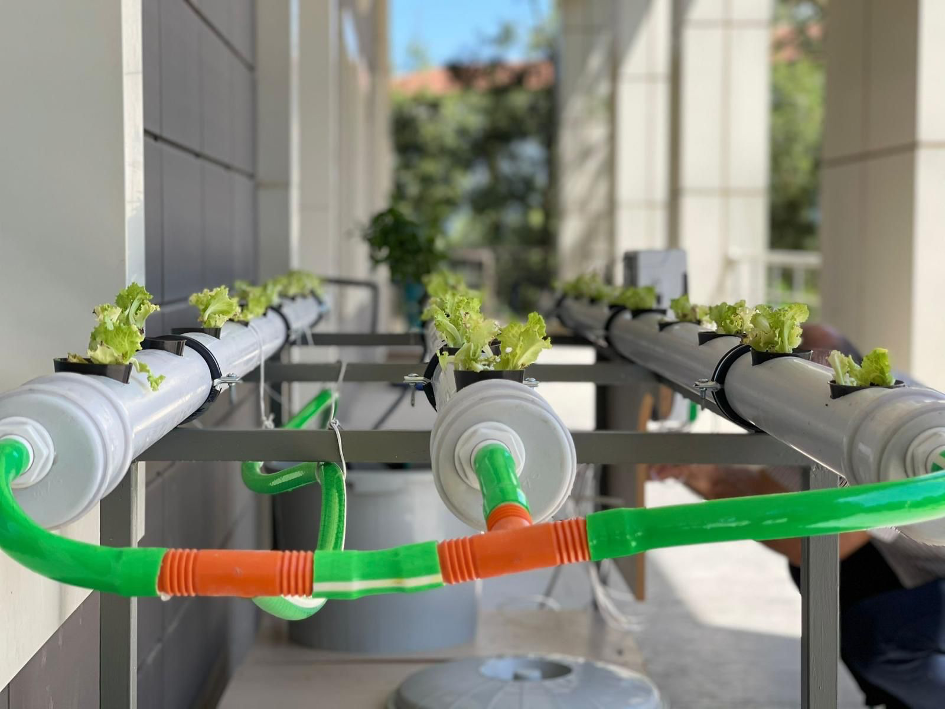 “Greenhouse and Plant Automation in Soilless Agriculture” Project Successfully Completed at Our University"